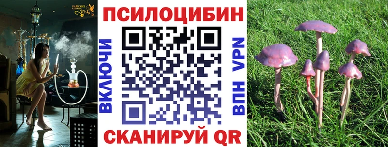 MEGA вход купить Щёкино Псилоцибиновые грибы ЛСД